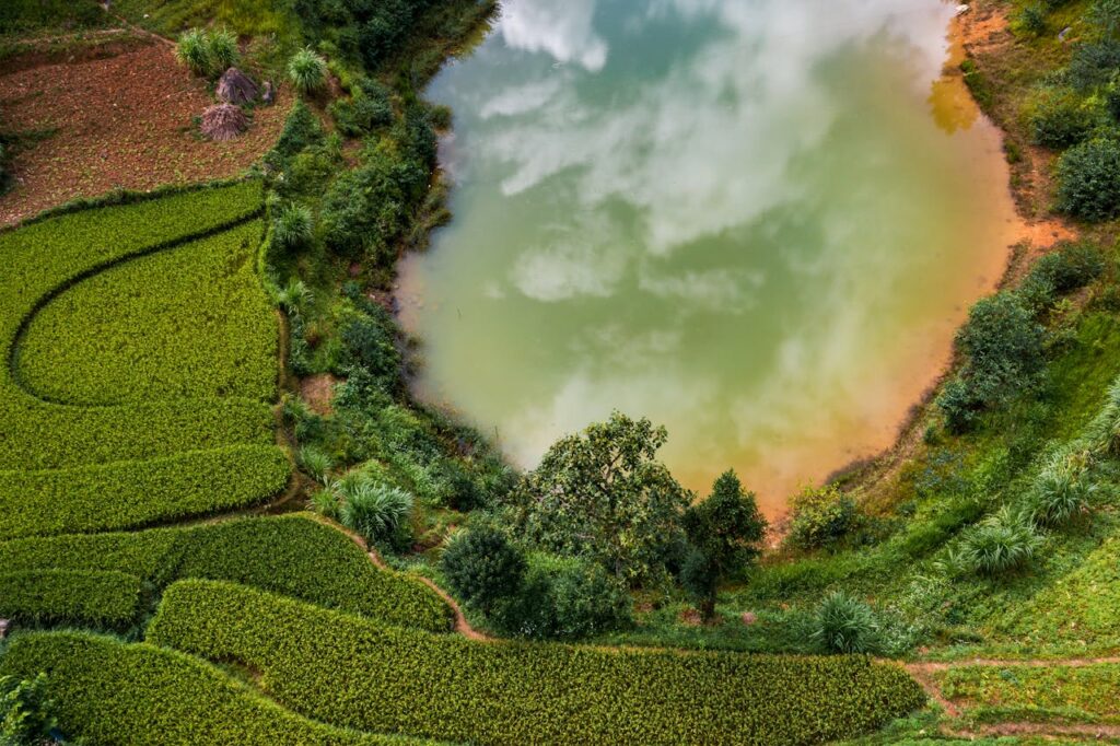 Lush Aerial View of Scenic Green Rice Fields and Pond